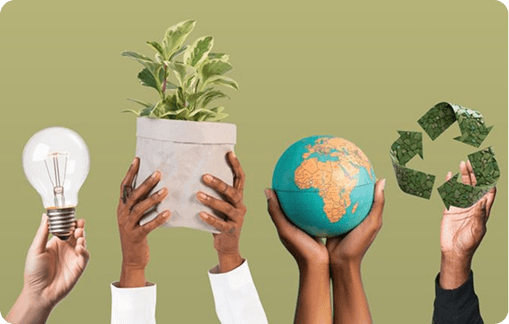 Business buyer reviewing eco-friendly product options to reduce carbon footprint and source sustainable materials