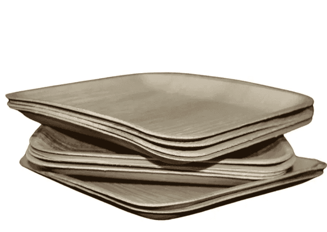 Areca Square Plate