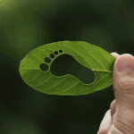 carbon footprint