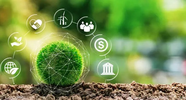 Sustainability Certifications: For Green Businesses sustainability certifications