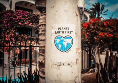 How to Show Your Brand Is Truly Eco-Friendly