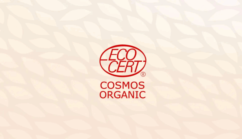 What Is ECOCERT Certification: Guide for Businesses in India